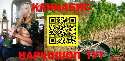 стафф Нальчик
