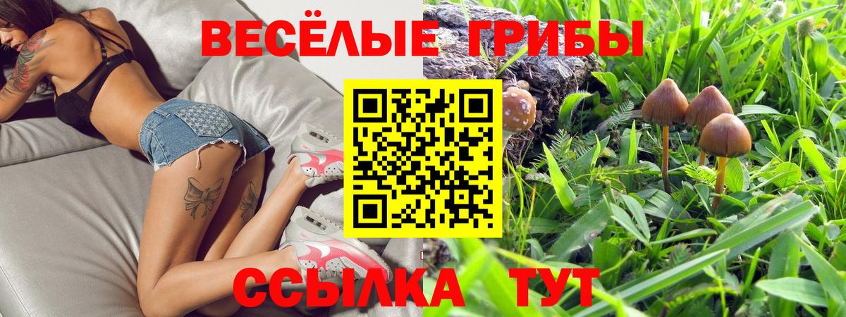 Сосновоборск  где можно купить наркотик  Вход с VPN  Псилоцибиновые грибы MAGIC MUSHROOMS 
