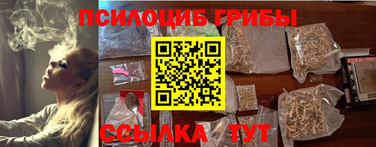 Псилоцибиновые грибы Psilocybine cubensis Сосновоборск
